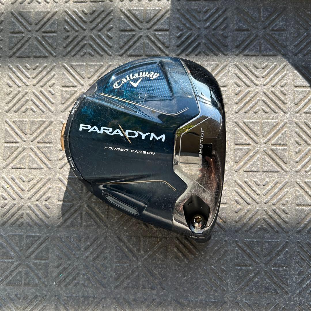 パラダイム (ヘッドのみ)