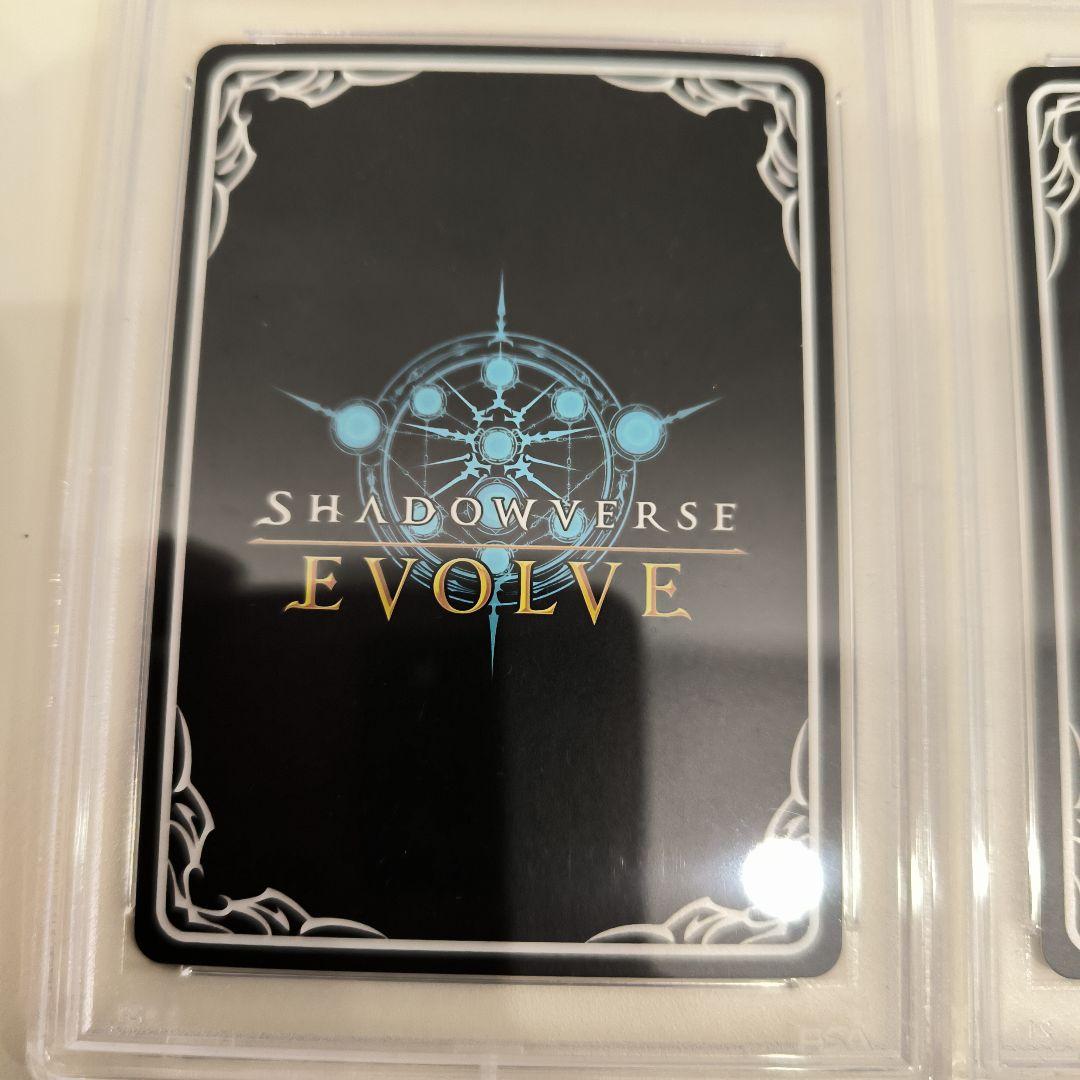 連番psa10 メジロマックイーン エボルヴ