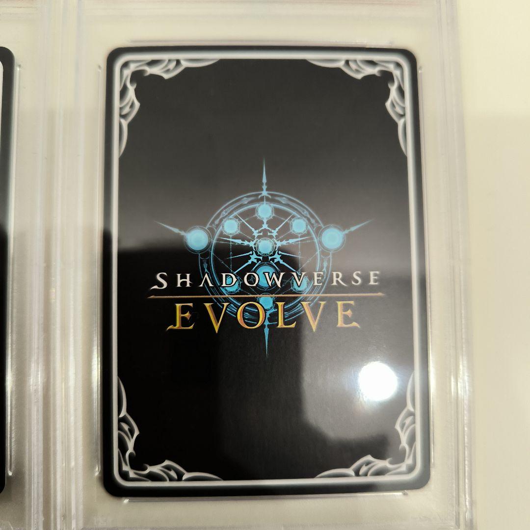 連番psa10 メジロマックイーン エボルヴ