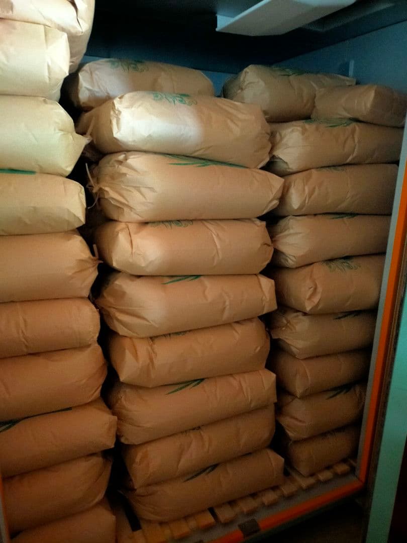 農家直送　20キロ　玄米　令和7年産コシヒカリ②