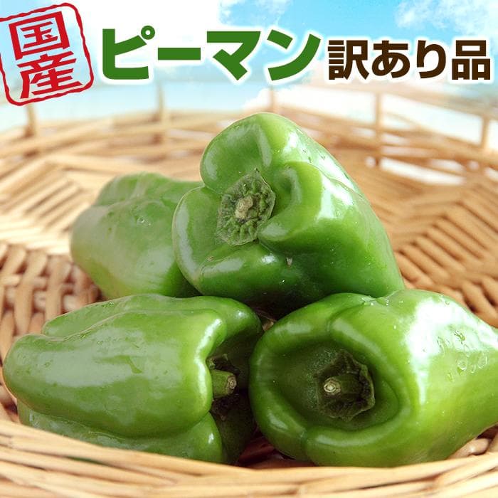 送料無料 訳あり ピーマン 500ｇ