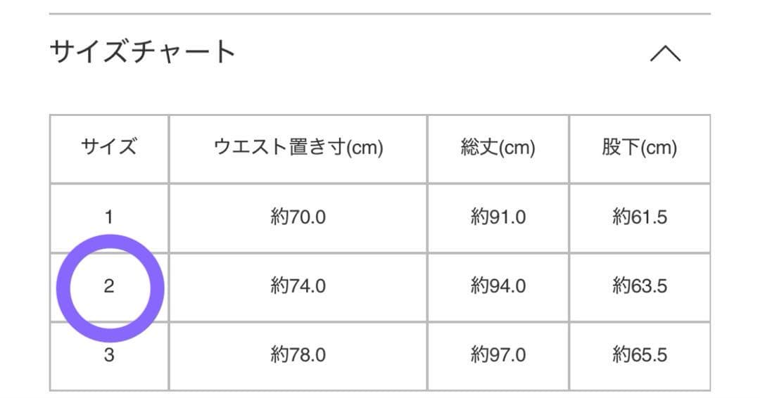 HOMME PLISSÉ オムプリッセ 消しプリーツパンツ 黒 サイズ2