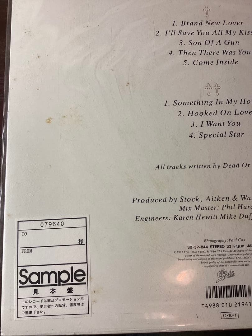 未開封 DEAD OR ALIVE ピクチャーレコード　LP