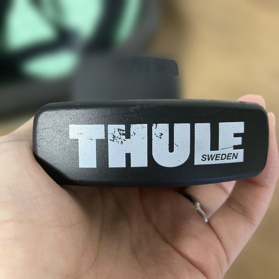 Thule Yepp Nexxt Mini 自転車用チャイルドシート前用