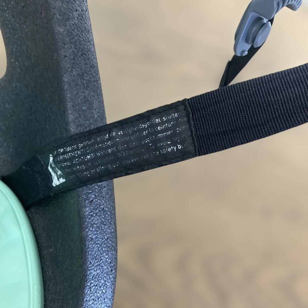 Thule Yepp Nexxt Mini 自転車用チャイルドシート前用