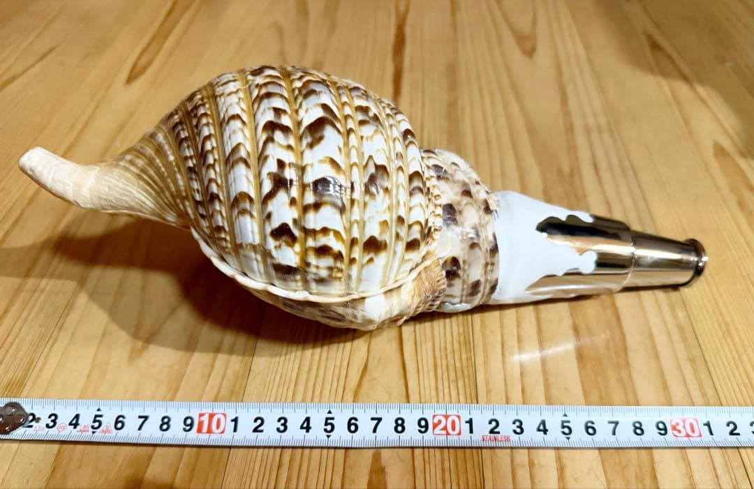 コンパクト修験道法螺貝　山伏　密教　魔除け　熊よけ❣️ホラガイ　ほら貝