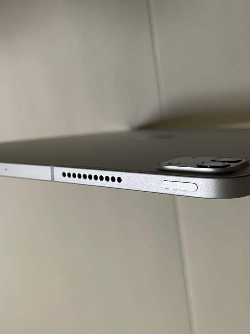 Apple iPad Pro 12.9インチ256GB 第5世代 SIMフリー