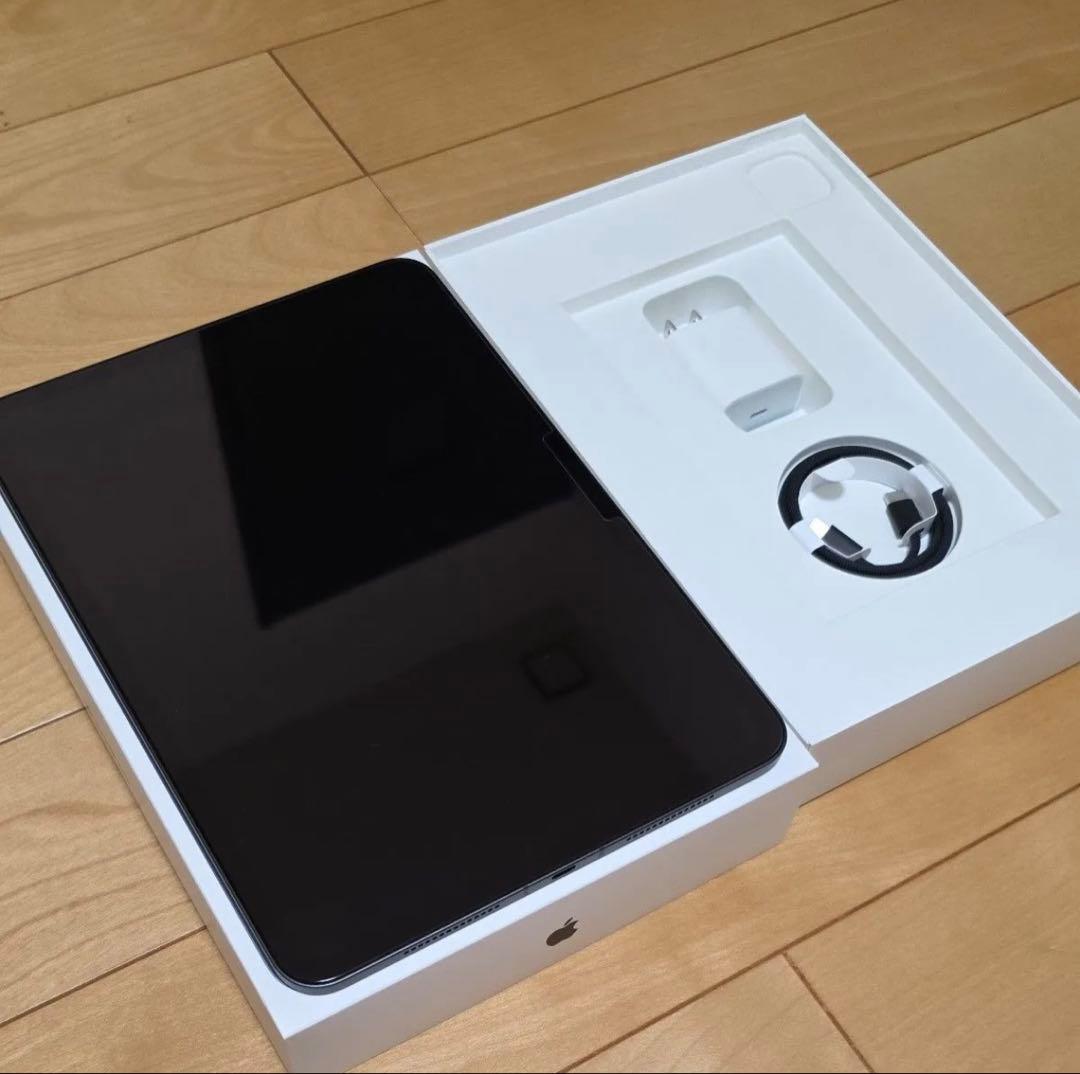 rin　　M4iPadPro 11インチセルラーSIMフリー