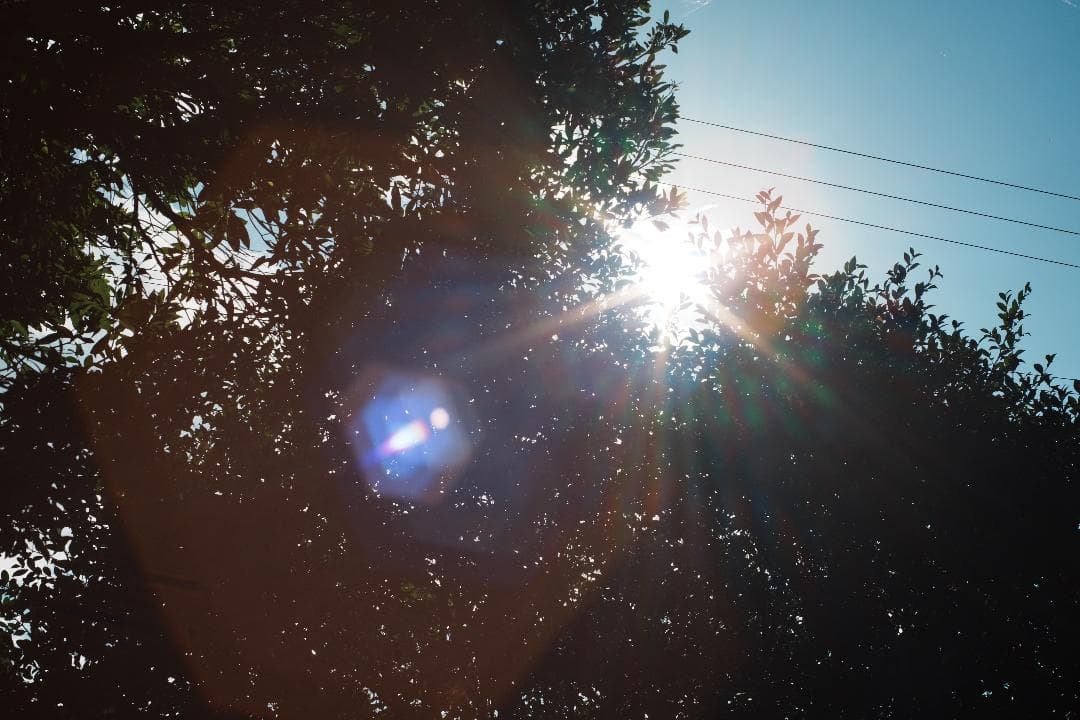 【この値段でライカ級】富岡光学製 XR RIKENON 50mm F2 481