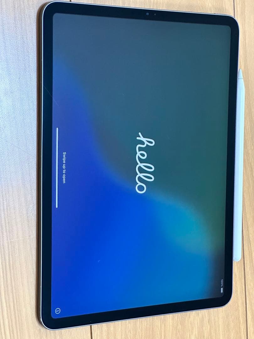 Apple iPad Pro 第1世代 256G スペースグレー 本体