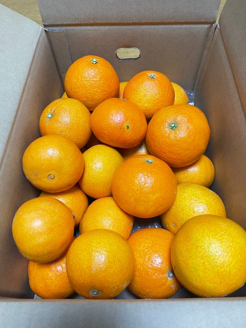 紅まどんな(5.5kgx2箱)・訳あり