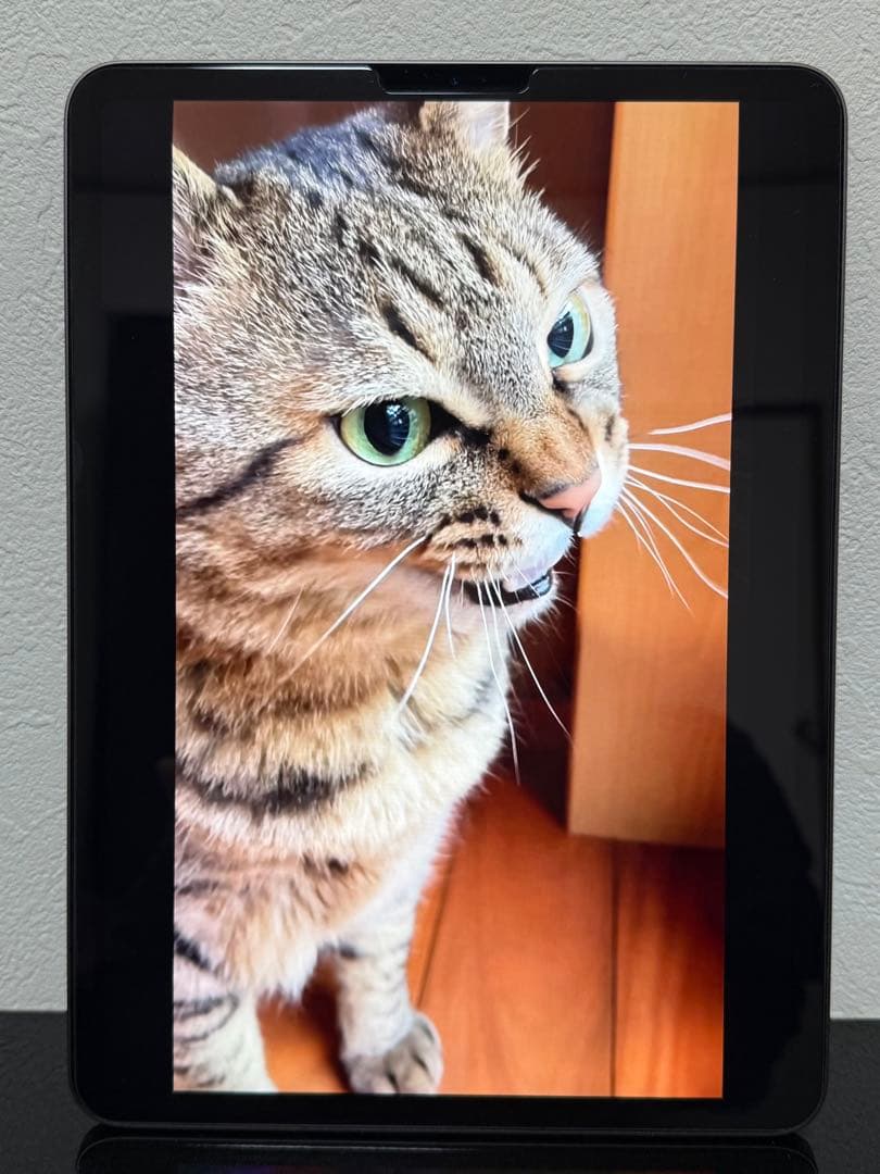 訳あり超美品 iPad Pro 11 （第2世代）128GB