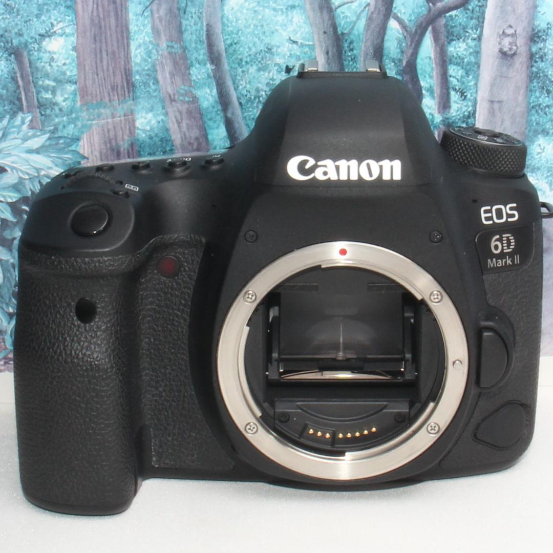 ❤️安定のフルサイズ機❤️キャノン EOS 6d マーク ii トリプルレンズ