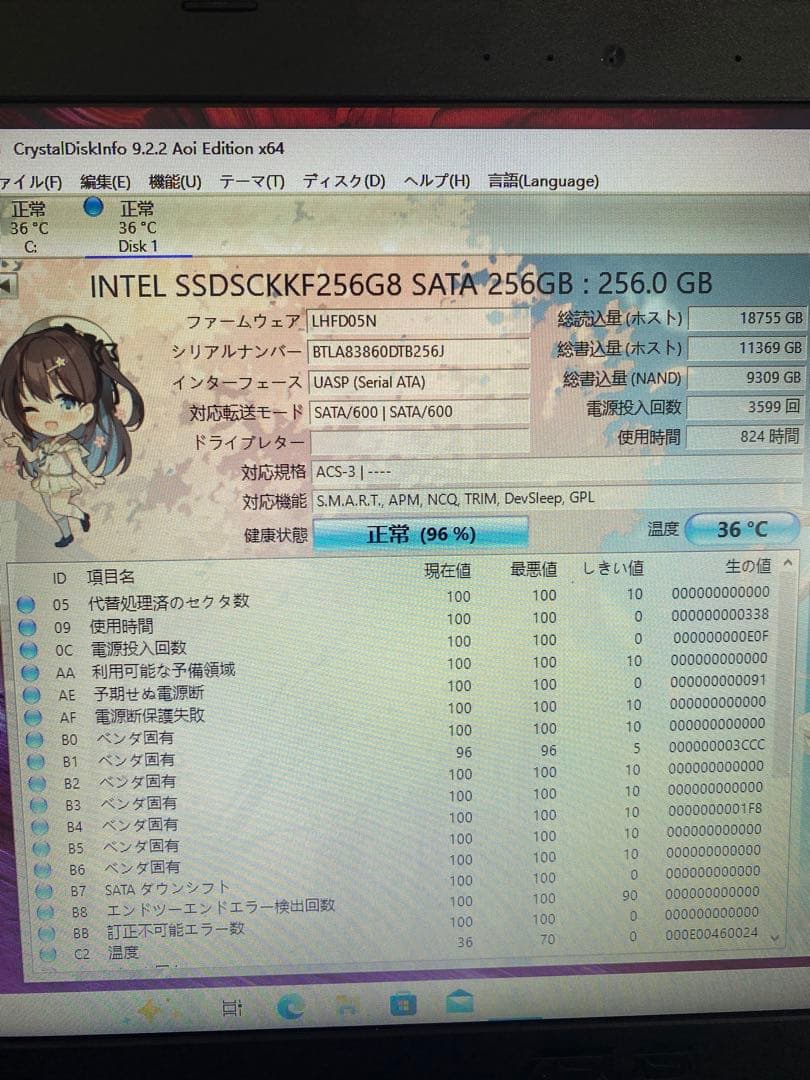 SSD 256GB 12枚セット