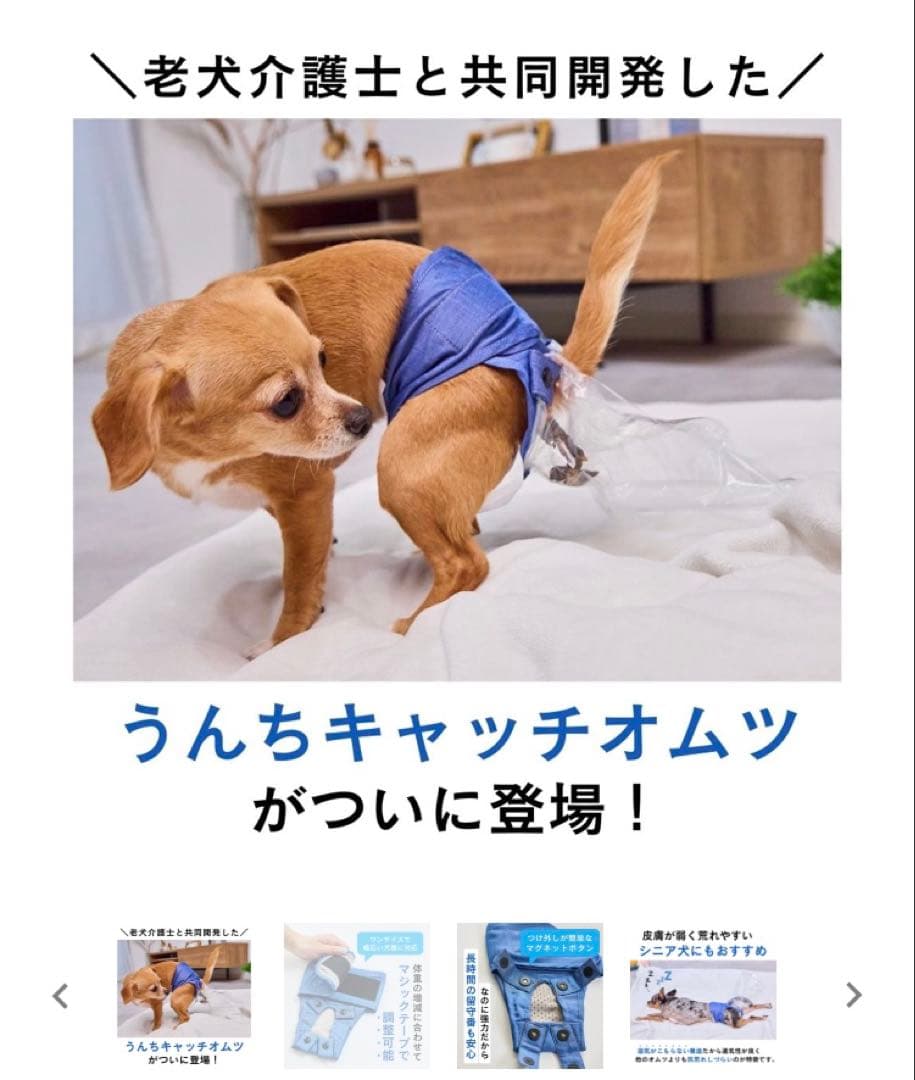 うんコロキャッチ　Mサイズ　3枚セット　未使用