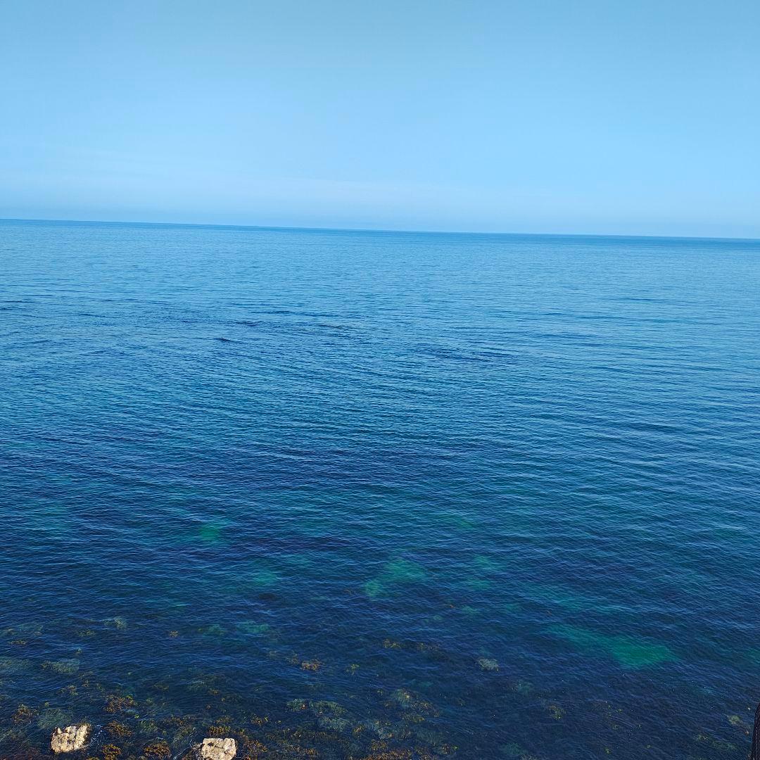 t*0様 本体のみ　訳あり破格　motorola edge 50s pro