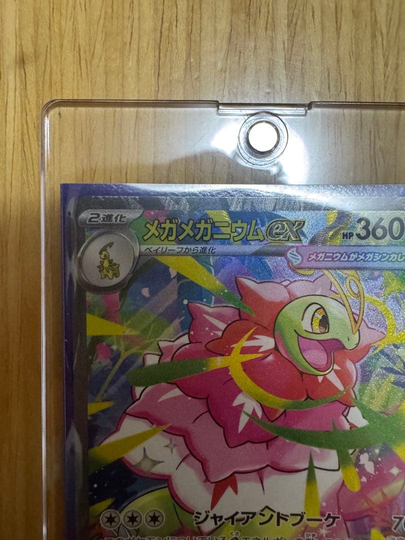 最終値下げメガメガニウムex メガエンブオーexメガオーダイルex No.101