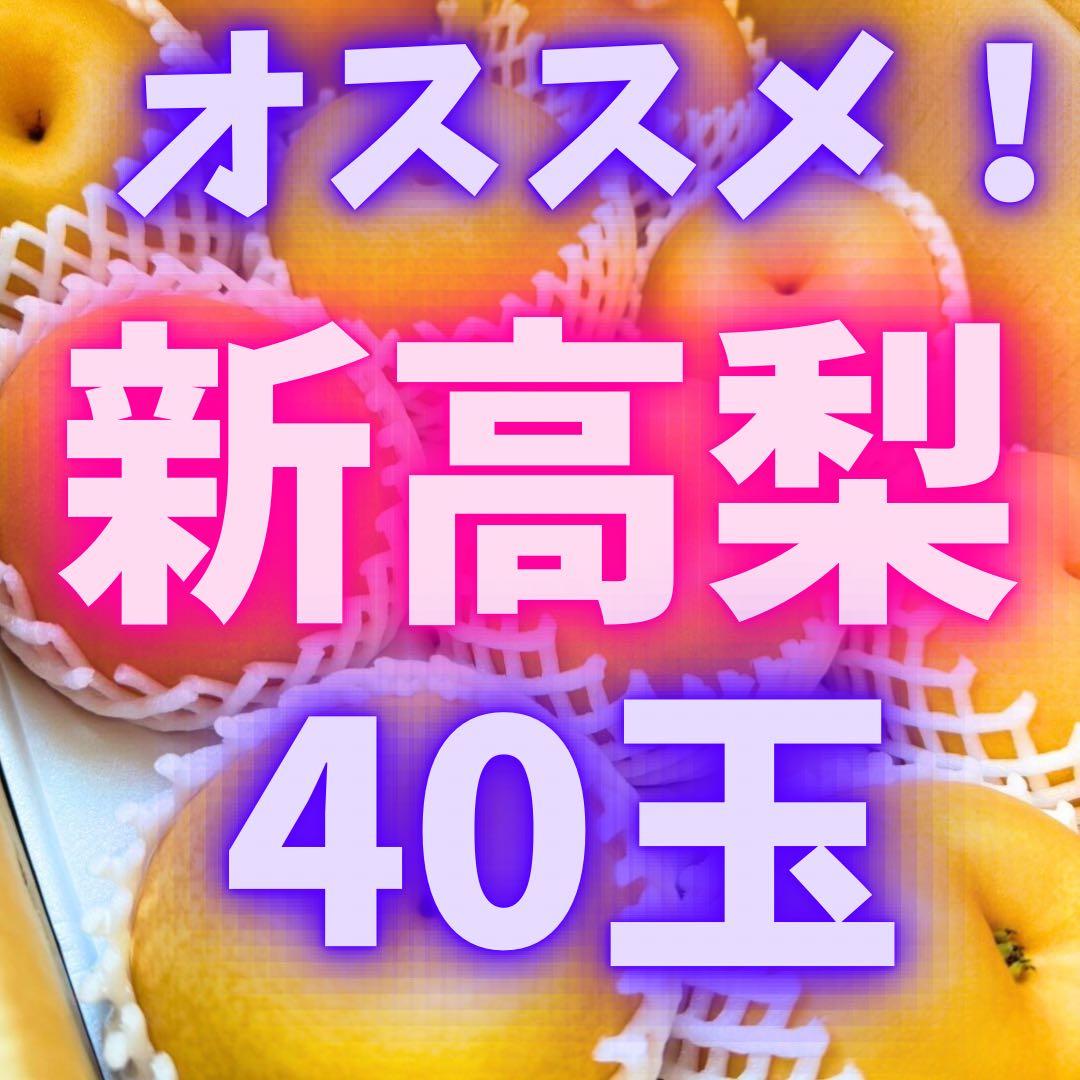 梨　新高梨　40玉　　01
