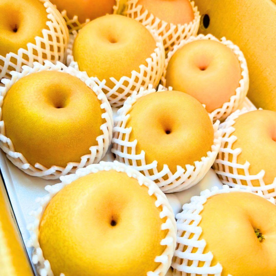 梨　新高梨　40玉　　01