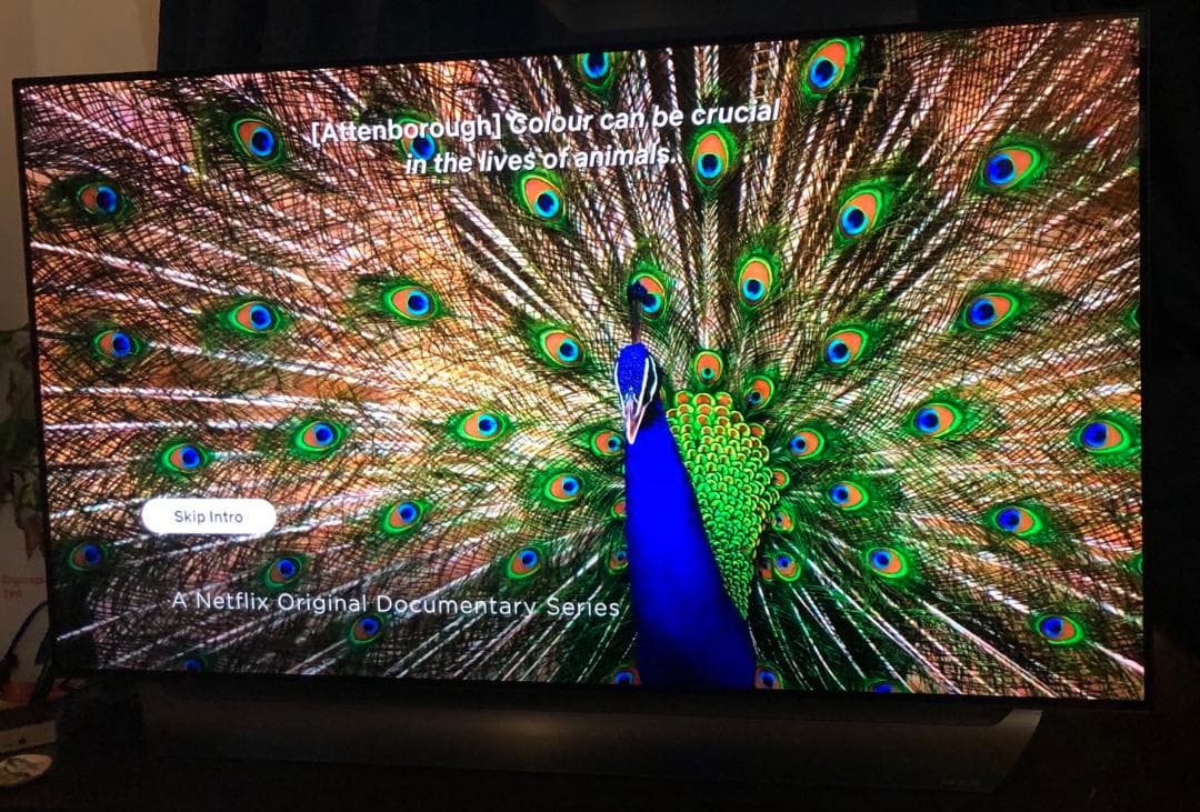 美品 LG 有機ELテレビ 55インチ 4K OLED55C8PJA