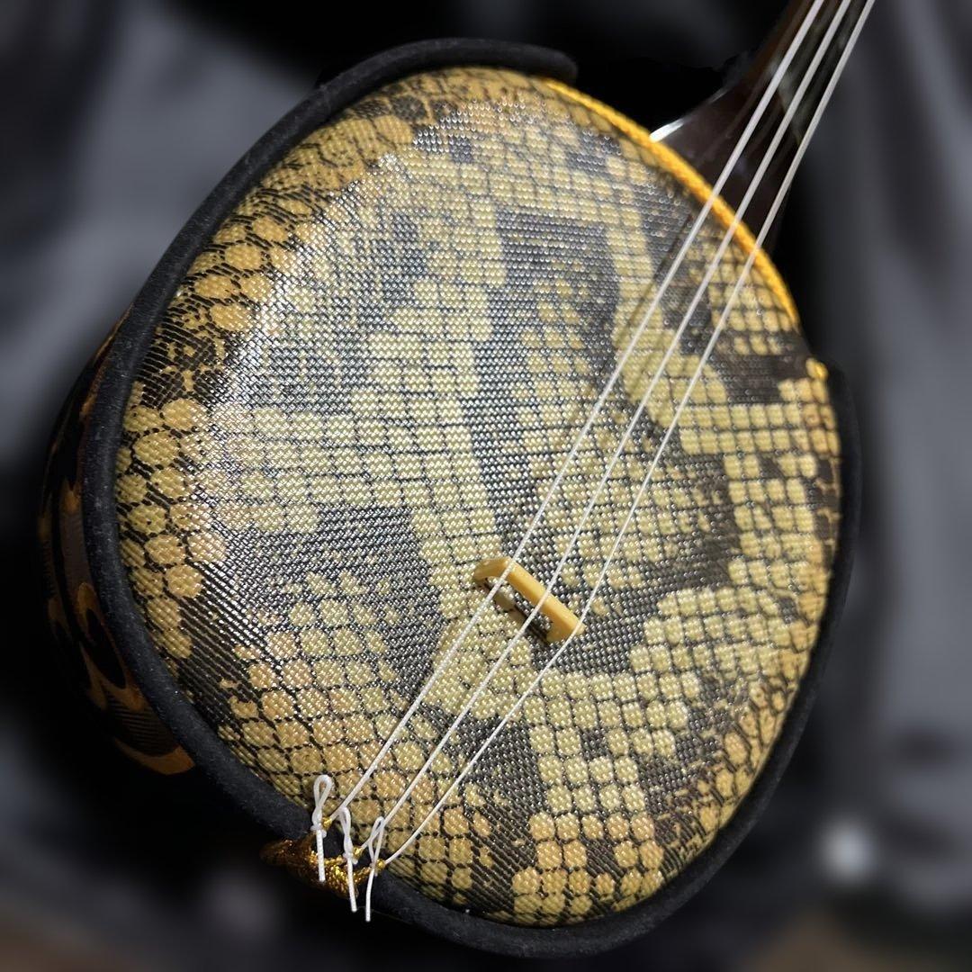 沖縄三線 人工皮 初心者向け 専用ソフトケース付き