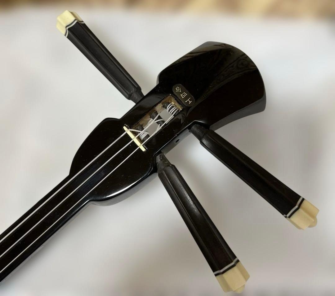 沖縄三線 人工皮 初心者向け 専用ソフトケース付き