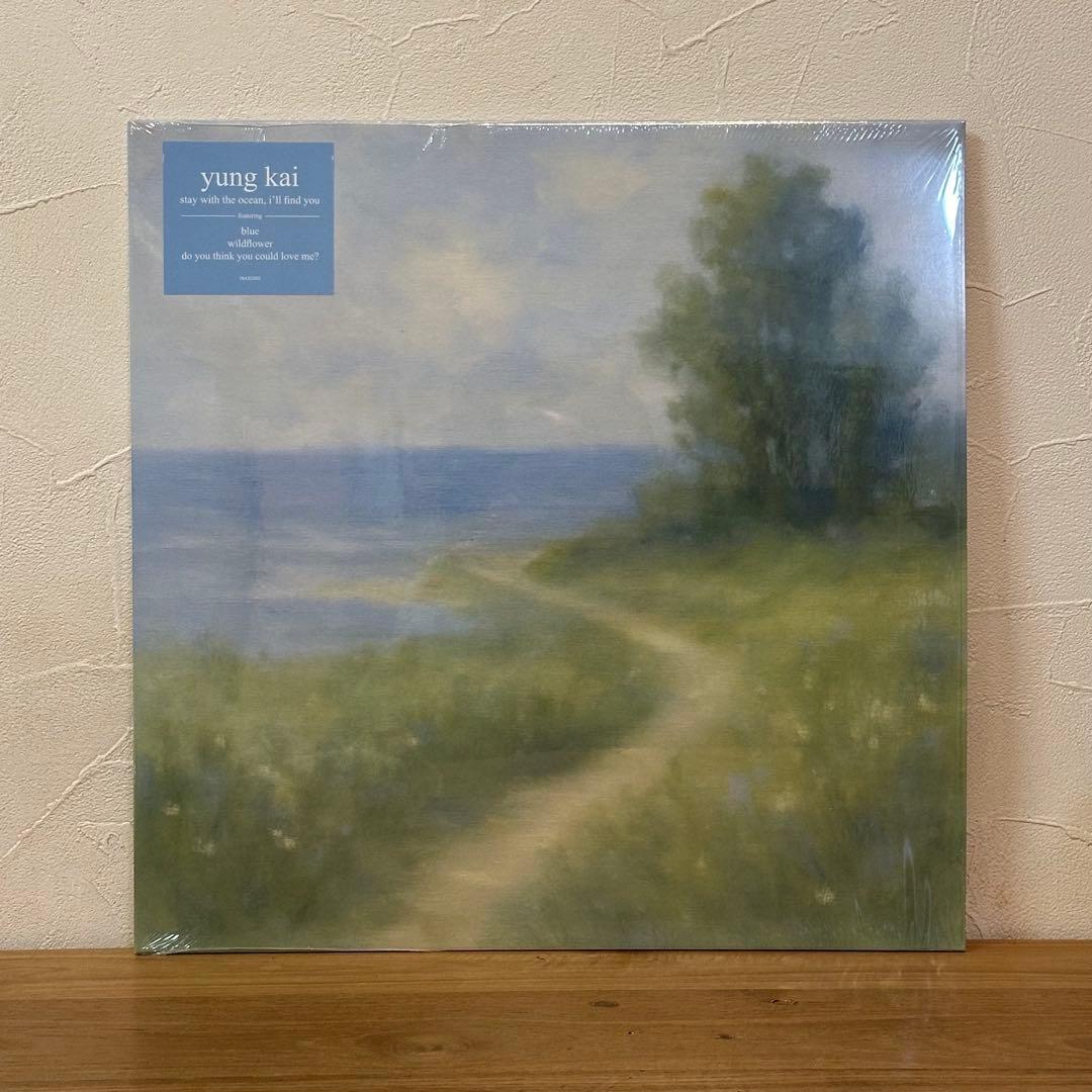 yung kai debut full-length レコード