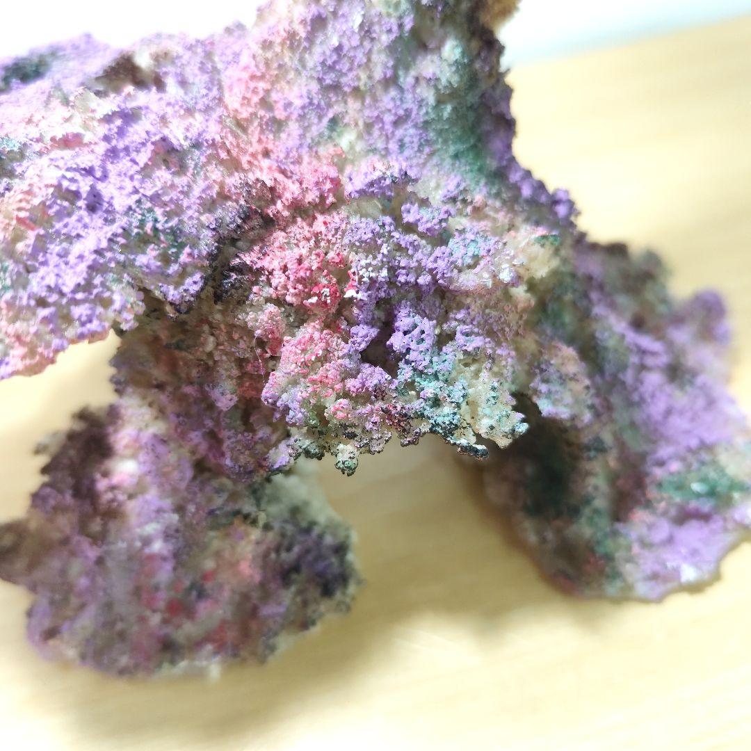 プラグ穴付き アク抜き不要人工ライブロック 海水水槽 レプリカ コーラルフラグ1