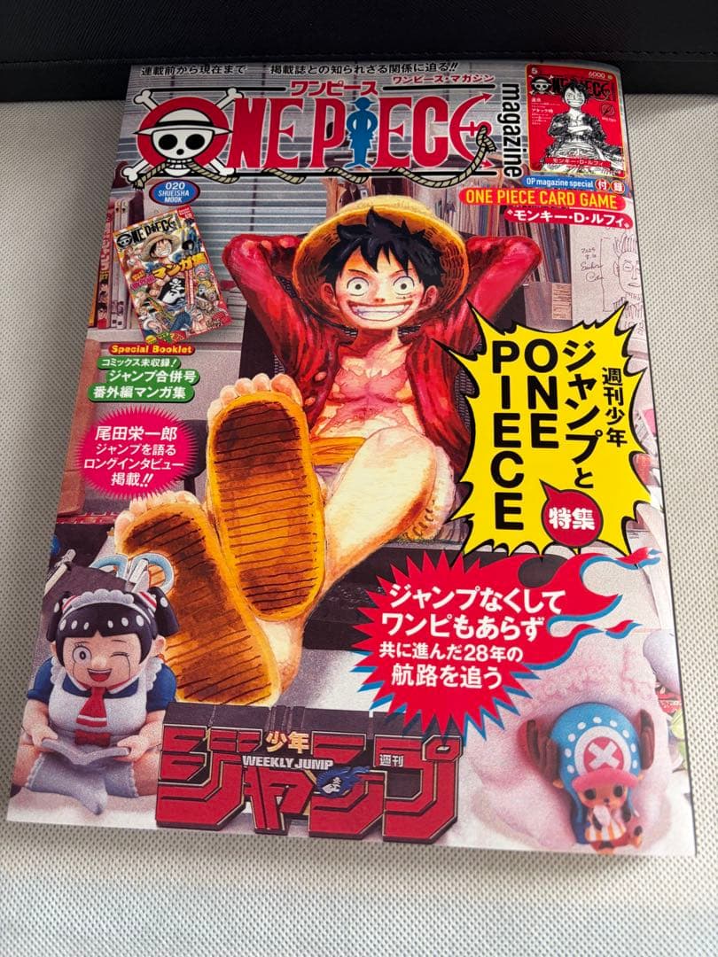 ONE PIECE magazine vol.20 プロモつき