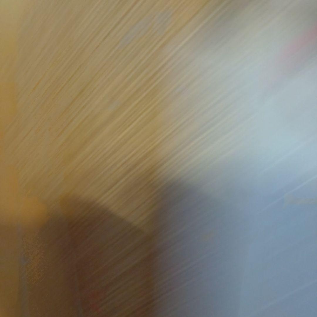 箱なしでおくります。mature ha. リボン付き麦わら帽子