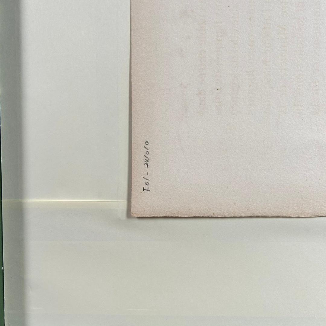 美品 藤田嗣治「魅せられたる河 エリゼ宮」手彩銅版画 レオナール・フジタ パリ