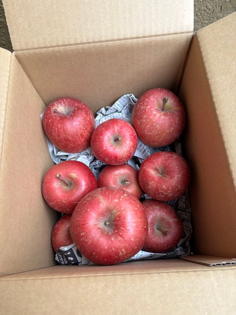 化学肥料未使用の青森県産リンゴ（サンフジ）10キロ家庭用