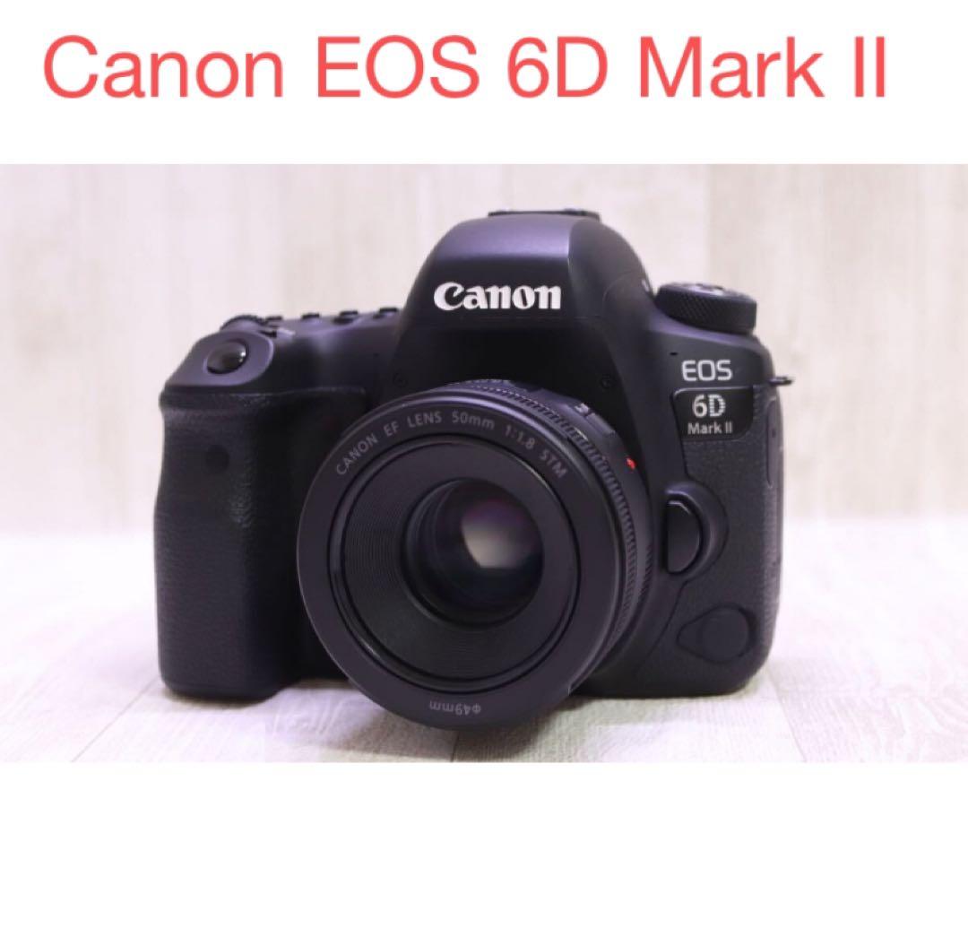 一眼レフカメラCanon EOS 6D Mark II /単焦点レンズセット