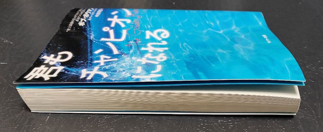 B*r様 君もチャンピオンになれる ボブ ボウマン