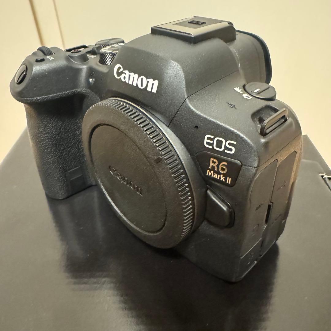 【美品】Canon EOS R6 Mark II 本体　ショット数約3,000枚