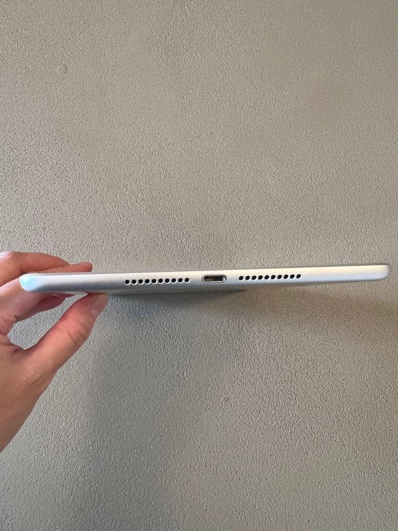Apple iPad mini (第５世代) Wi-Fi + Cellular