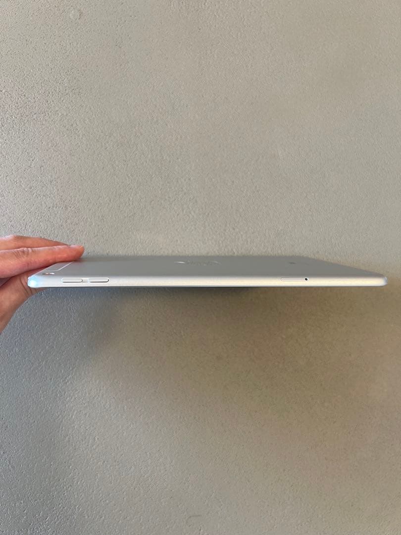 Apple iPad mini (第５世代) Wi-Fi + Cellular