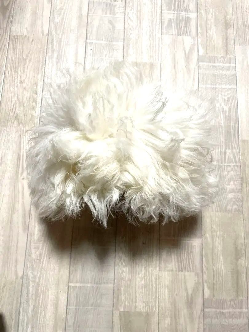 新品　万博　トルクメニスタンの羊毛の帽子　テルペク　紙袋サービス　値下げ中