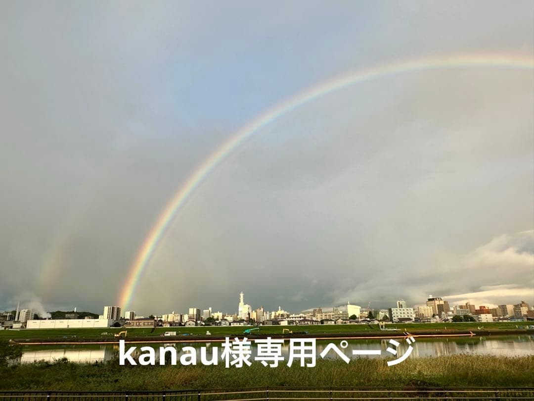 kanau　クラッシックチェーンウォレット ダブルクリップ