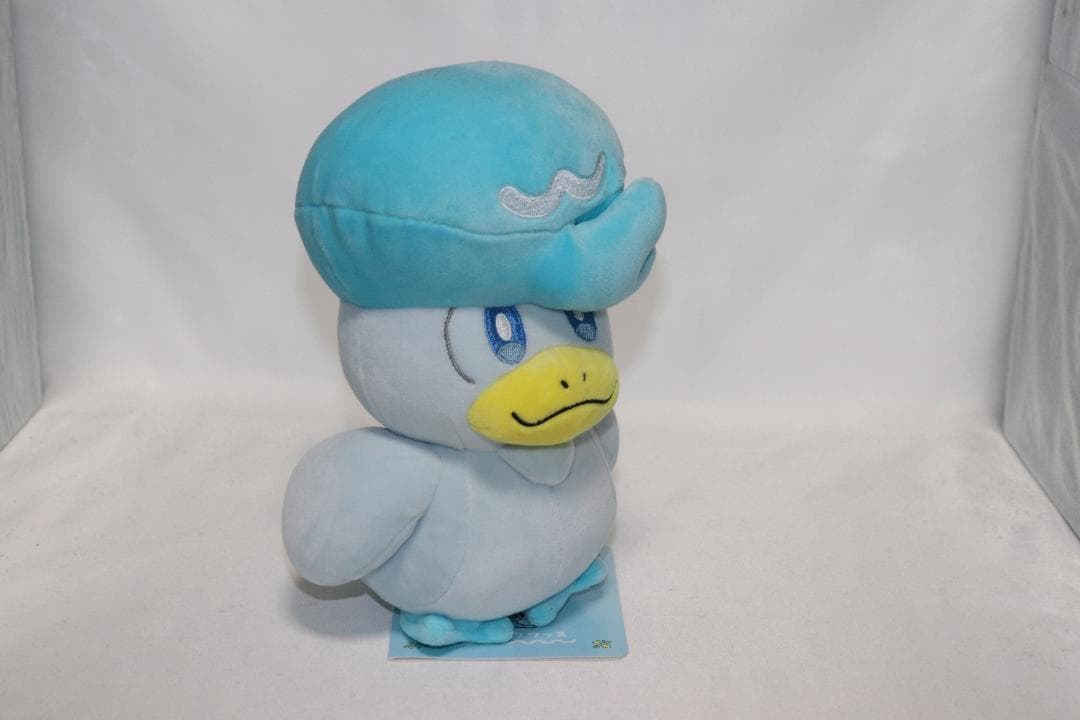 ✨Canon Kiss X9✨Wレンズ✨手ブレ補正&超望遠✨一眼レフカメラ