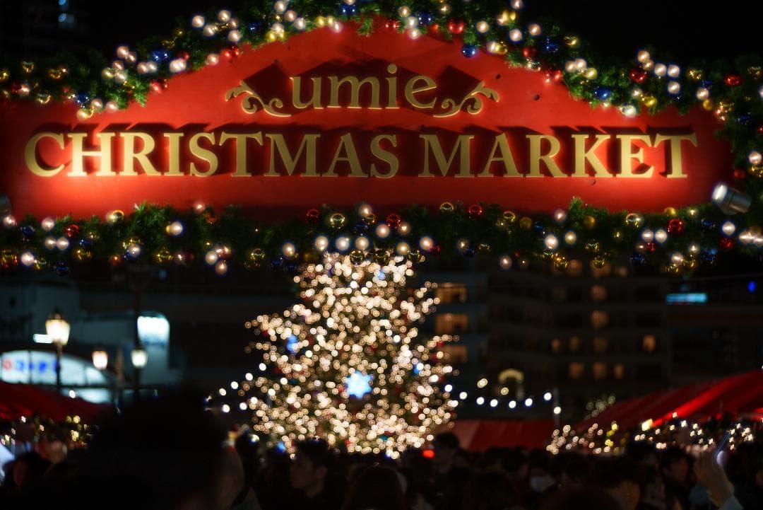 美品！イルミにバブルボケ！Trioplan 100mm F2.8 SONY用