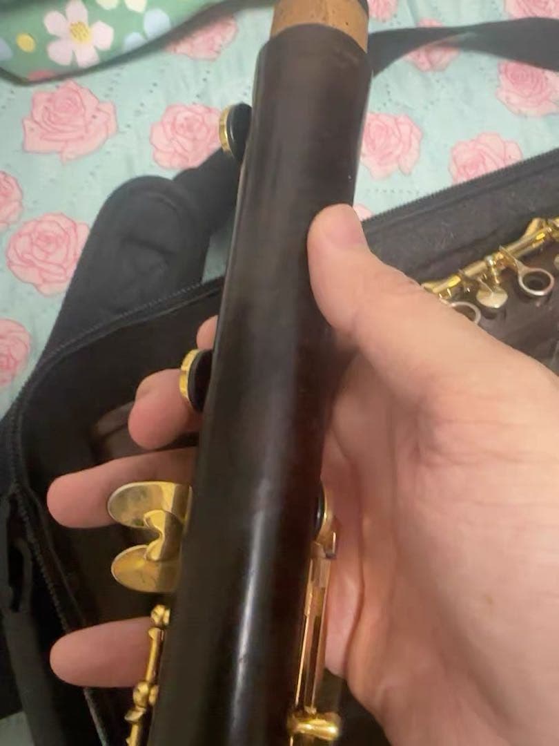 バックーンProtégé Bbクラリネット