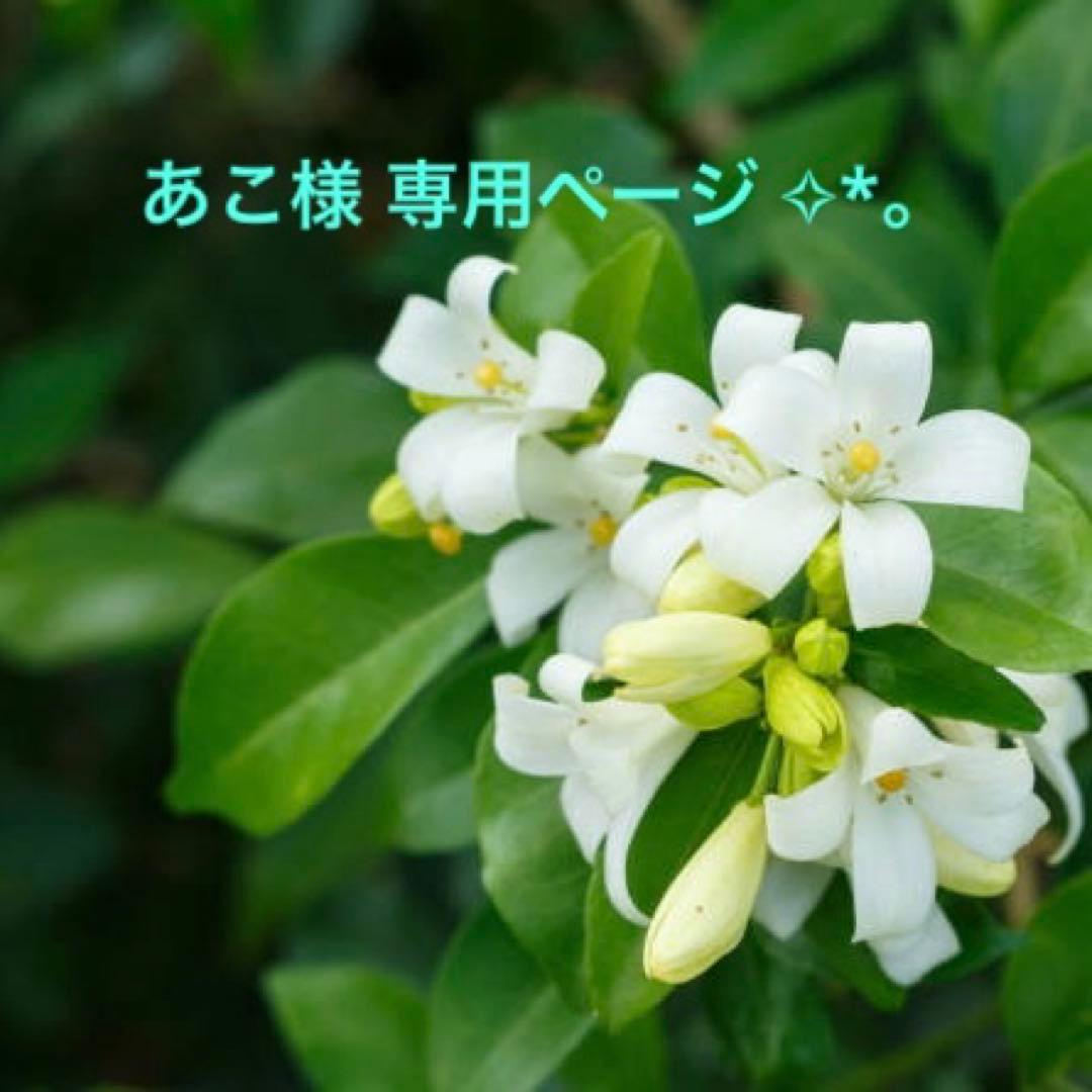 あこページ✧*。