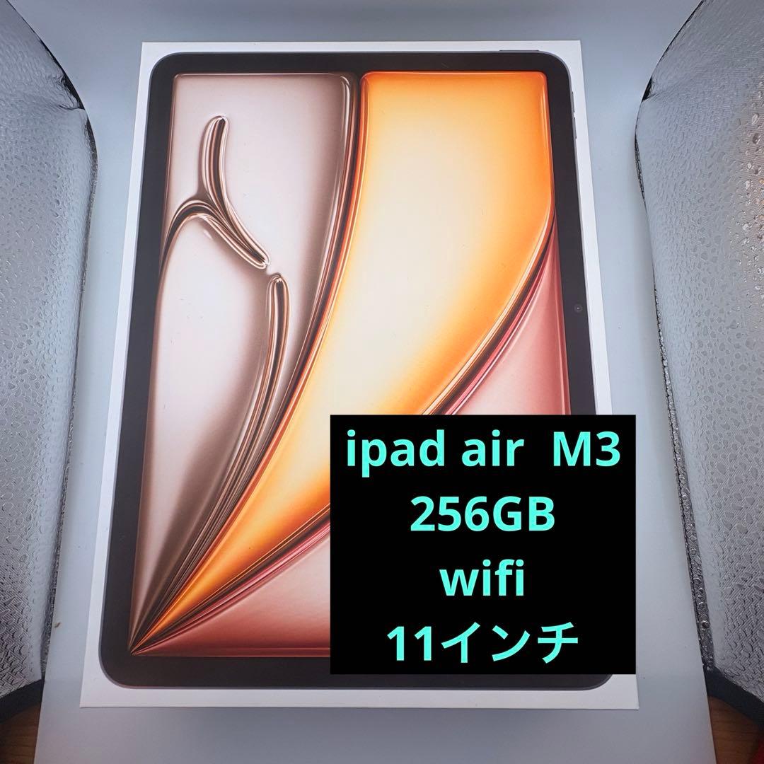 Apple iPad Air m3 256GB Wi-Fi 11インチ　オマケ有