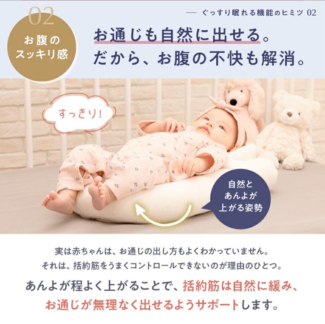 【美品】Nidoo-Bio ニドゥービオ　ベッドインベッド