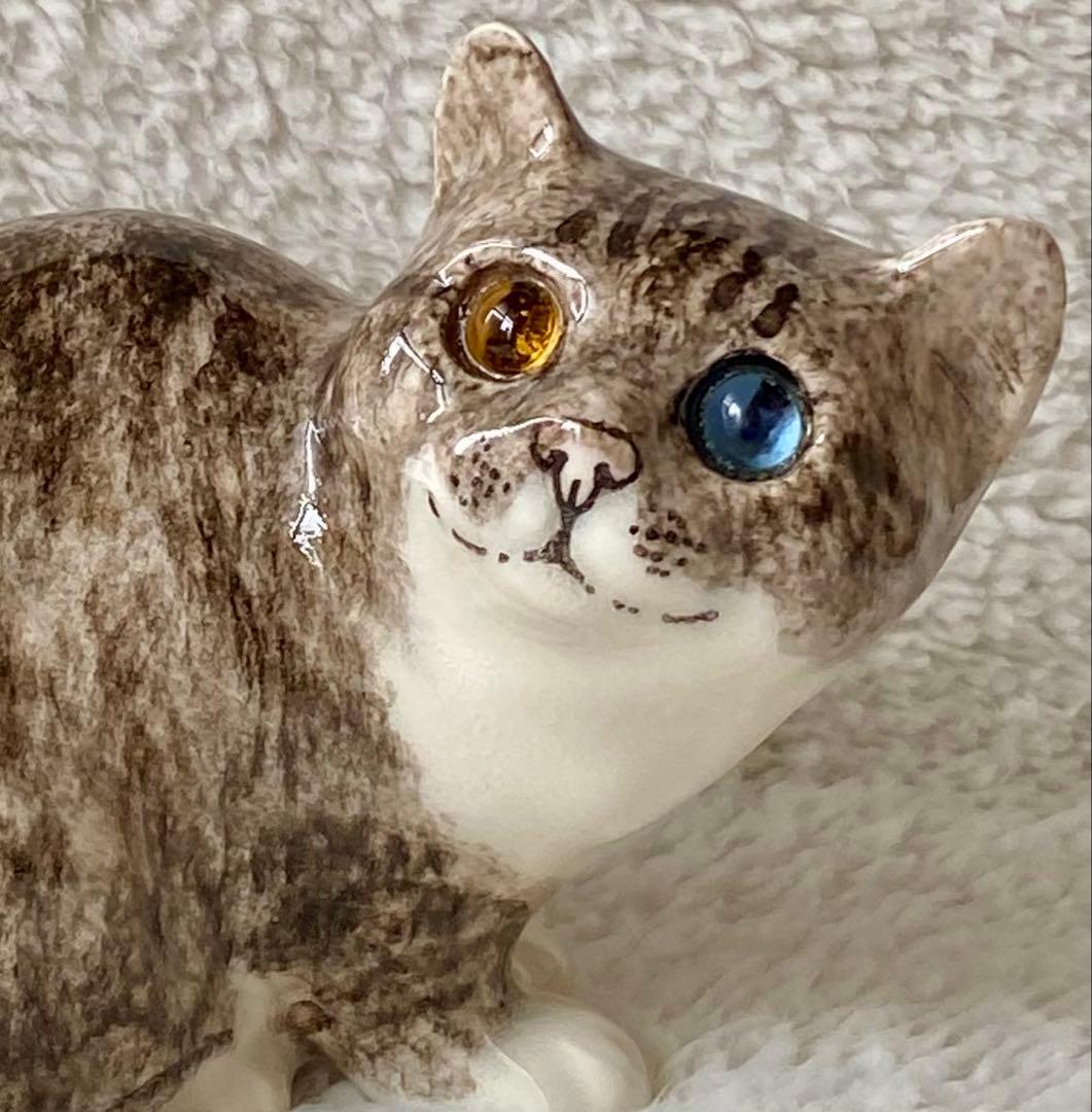 ウィンスタンレイキャット　ケンジントンキャット　丸まり猫　オッドアイ　サイズ2