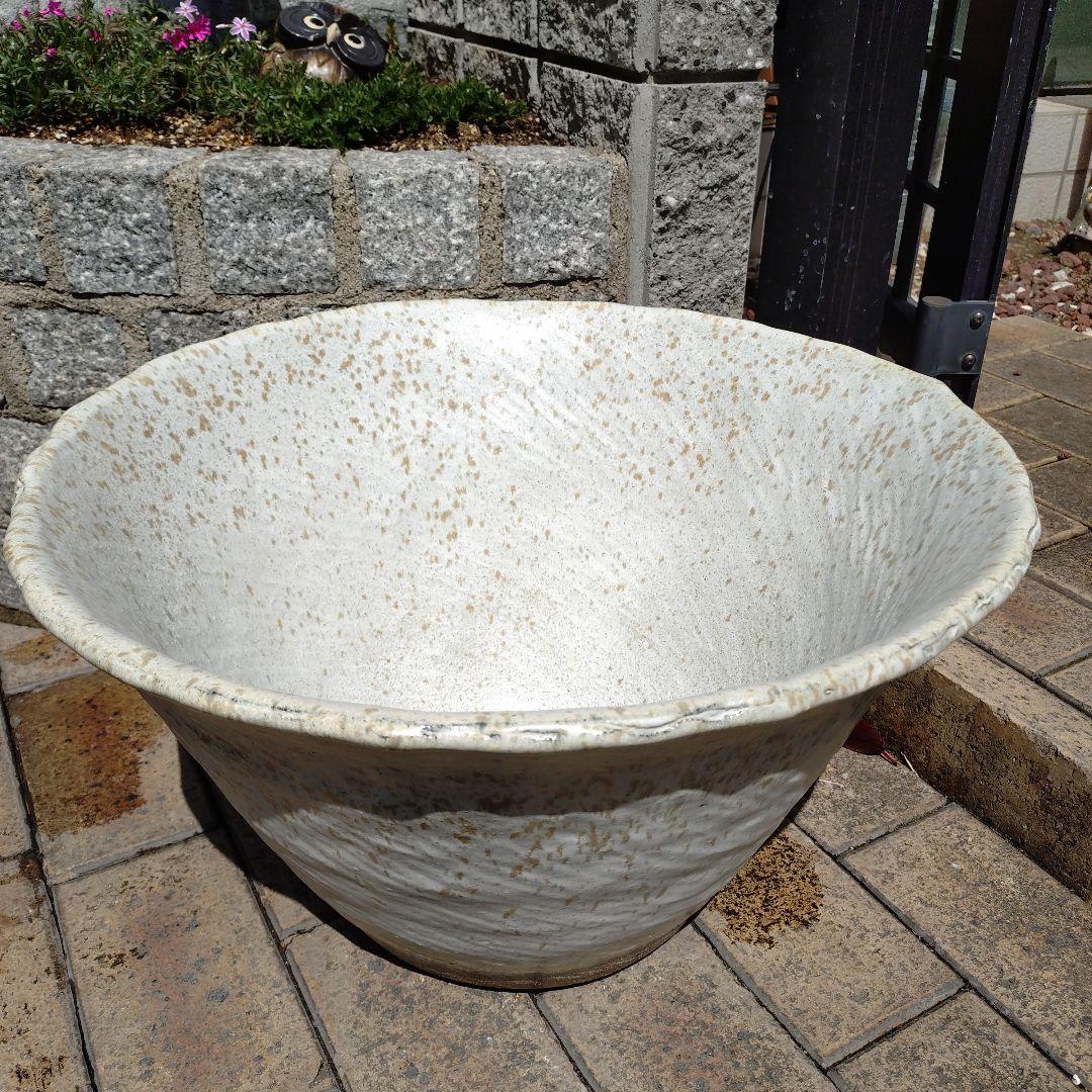 信楽焼　手作りめだか鉢　水連鉢　ビオトープ　直径55㌢