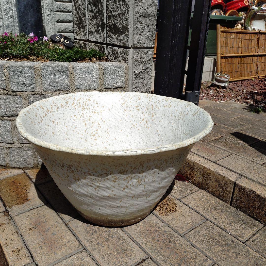 信楽焼　手作りめだか鉢　水連鉢　ビオトープ　直径55㌢