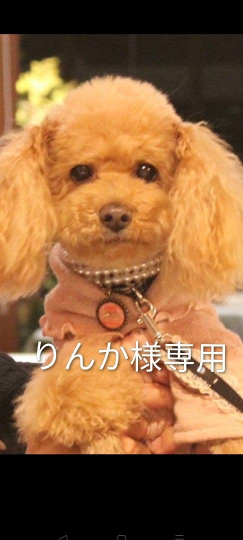 りんか。羊毛フェルトオーダー