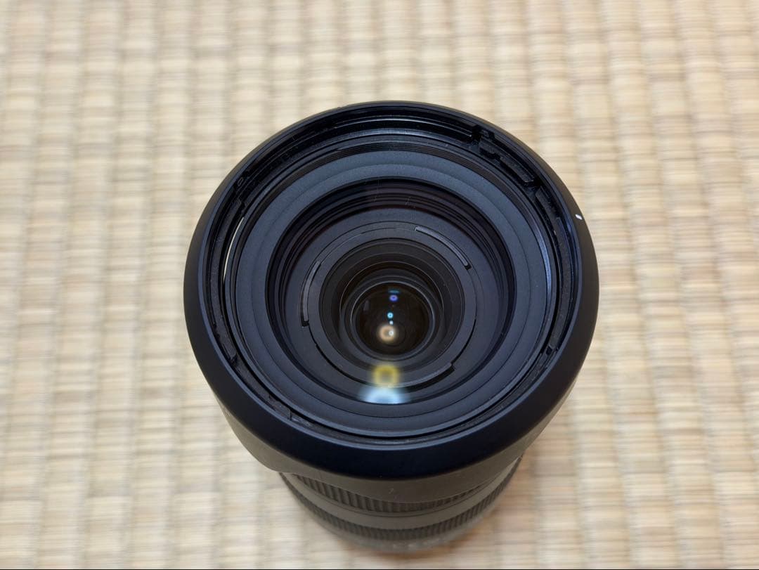 TAMRON (タムロン) 18-300mm ソニーEマウント